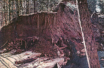 Another view of the right face of the breach