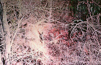 Man standing next to area where Kelly Barnes Dam slope failure occurred. Photo taken in 1973.