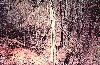 Two-foot scarp on downstream side of Kelly Barnes Dam, in lower left portion of picture.
