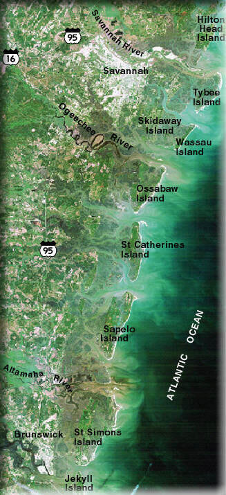 Satellite Image of Coastal Georgia