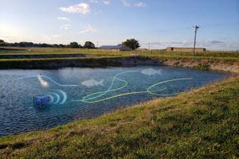 pond underwater sound movement