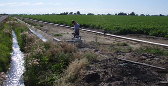 Scientist standing between irrigation canal and crops