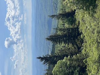Spruce Knob, the highest point in West Virginia