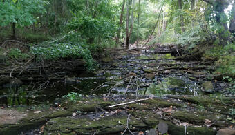 Stony Brook near West Suffield, Connecticut during 2020 drought