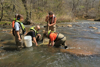 Macro-invertebrate sampling during SESQA ecological survey