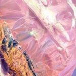 Australia Wind Power from Earth as Art 4 exhibit, Landsat 8 image thumbnail