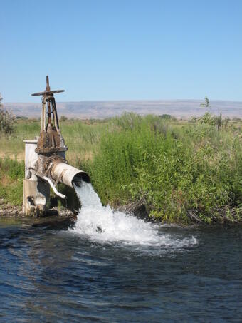 Irrigation well