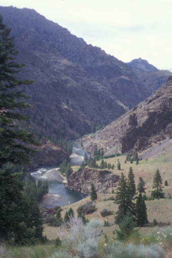 Middle fork Salmon River