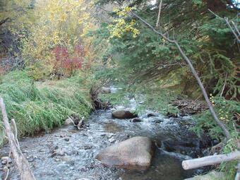 Eagle River, Colorado