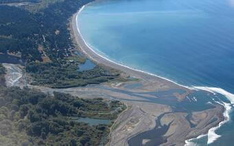 View from the sky looking down along a coastline with a silty river mouth protruding into the ocean with gentle waves at beach.