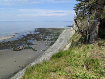 On a high coastal cliff, a video camera is mounted on a pole and secured to a tree, and down below it's low tide.