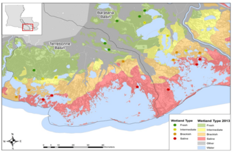 2013 Wetland Type Map - Coastal Louisiana