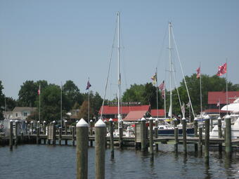 Chesapeake Bay coast at St. Michaels, Maryland