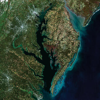 Chesapeake Bay: A Landsat 8 Surface Reflectance Mosaic