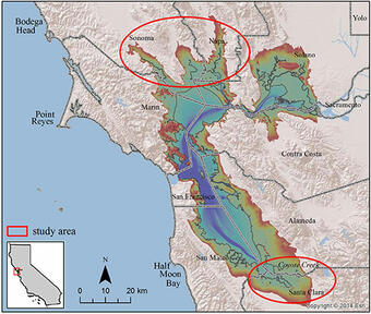 Map shows the outline of a coastal area with a large bay inlet with two oval study areas demarcated in the north and south bay.