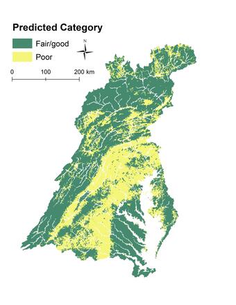 Chesapeake Bay image