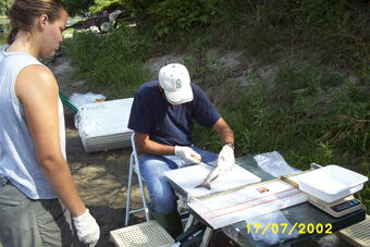 Collecting fish samples for the NAWQA Mercury in Stream Ecosystems study, Nebraska