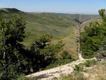 Wyoming landscape in spring.