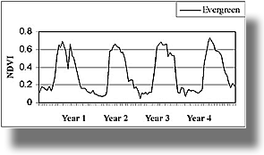 Time-Series NDVI Curve spruce-fir-pine