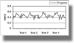 Time-Series NDVI Curve fir-hemlock-pine