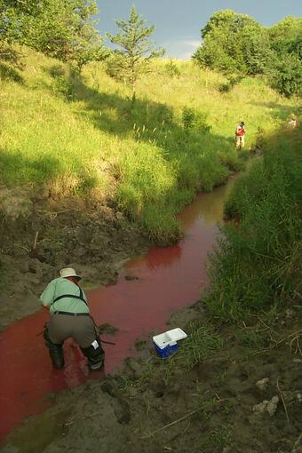 USGS scientist releasing dye into a stream as part of the NAWQA Effects of Nutrient Enrichment on Stream Ecosystems study in Neb