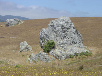 A photo of a blueschist.