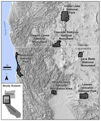 WERC map of large plots for forest monitoring in Klamath region