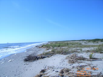 Whiskey Island, Louisiana