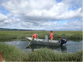 WERC researchers collecting samples in the field