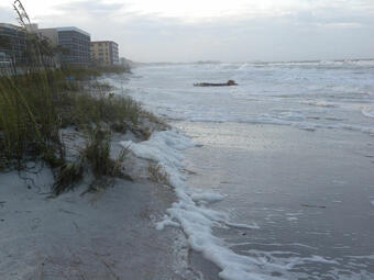 Wave runup and storm surge cover reach the dune toe on St. Pete Beach during Tropical Storm Debby.