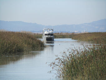 USGS research vessel mapping in Alviso Slough in south San Francisco Bay