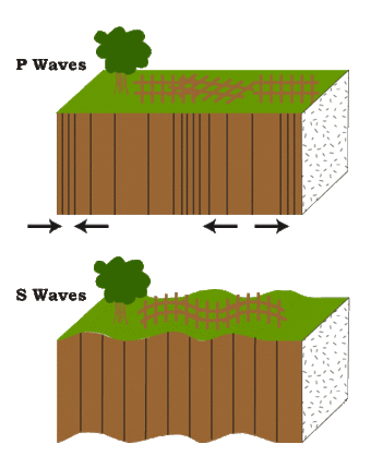 seismic waves diagram for kids