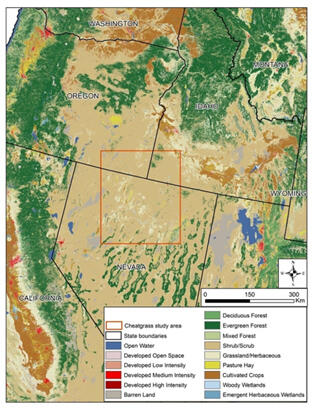 Cheatgrass cover and dieoff estimates for a portion of the Great Basin in northern Nevada, southeastern Oregon, and southwestern