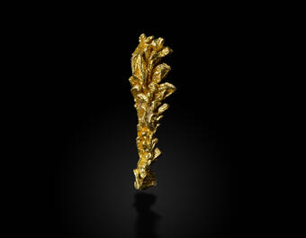 Image shows a sample of gold against a black background