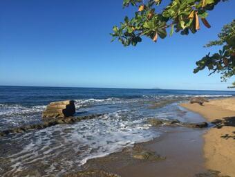 historical shoreline change