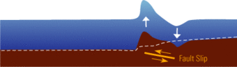 Cross sectional illustration used to show how a fault moves the ocean crust and how that displaces the ocean water above.