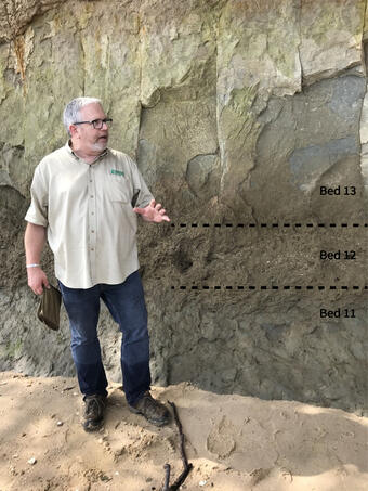 Harry Dowsett is explaining the significance of these beds of the Calvert Formation that are exposed along the Calvert Cliffs