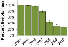 Figure 2: Graph of percent of live biomass