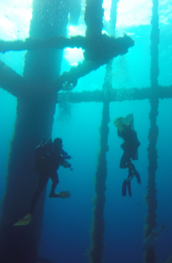 Collecting samples from an offshore artificial reef