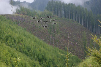 Image of the hillside and where each station is set up there at Knife Ridge