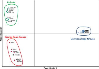 a popgenomics graph