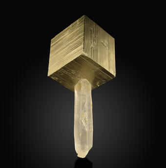 Image shows a cubical sample of pyrite with a quartz crystal extending beneath it