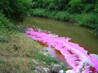 Scientists used florescent dye and bromide to track river water to which two emerging contaminants had been added