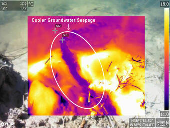 Thermal image of groundwater seepage into Ellerbe Creek, Durham, NC