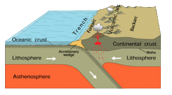 Cartoon shows a cross-section of the earth and how to tectonic plates might move under each other to create continental crust.