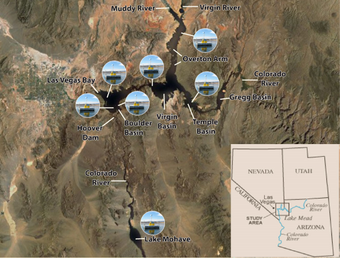 Map of the water-quality platform sites on Lake Mead, Nevada-Arizona