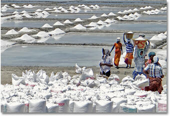 Salt obtained from evaporation ponds in India