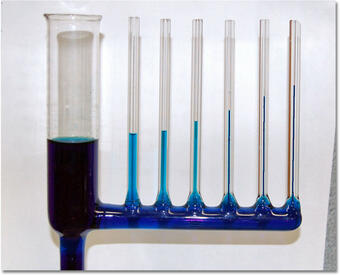 Glass tubes showing how water climbs up them by capillary action