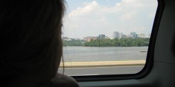 Image: Staring at the Beautiful View