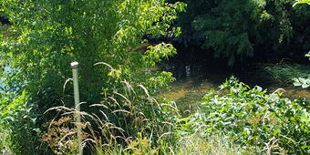 Crest stage streamgage next to shallow creek with green foliage surrounding